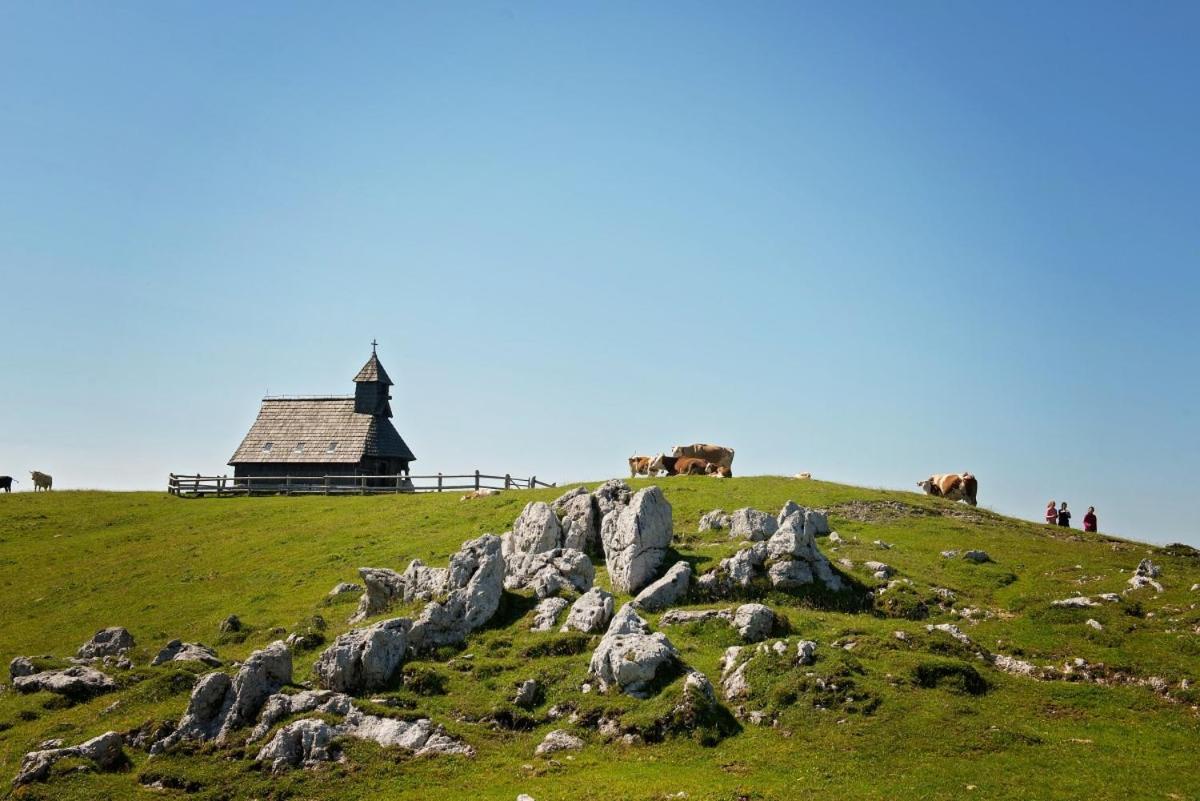 Koca Predilnica Velika Planina Villa Kamniska Bistrica Exterior photo