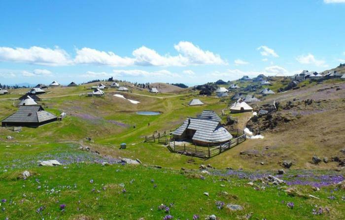 Koca Predilnica Velika Planina Villa Kamniska Bistrica Exterior photo